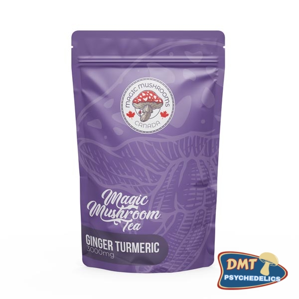 Ginger Turmeric Tea | 3000mg | Magic Mushrooms USA