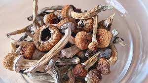 Buy Dried Magic Mushrooms